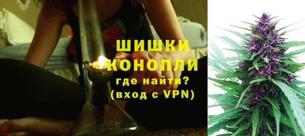 сатива Абдулино