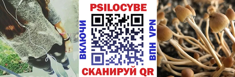купить наркотики цена  Усолье-Сибирское  Галлюциногенные грибы GOLDEN TEACHER 